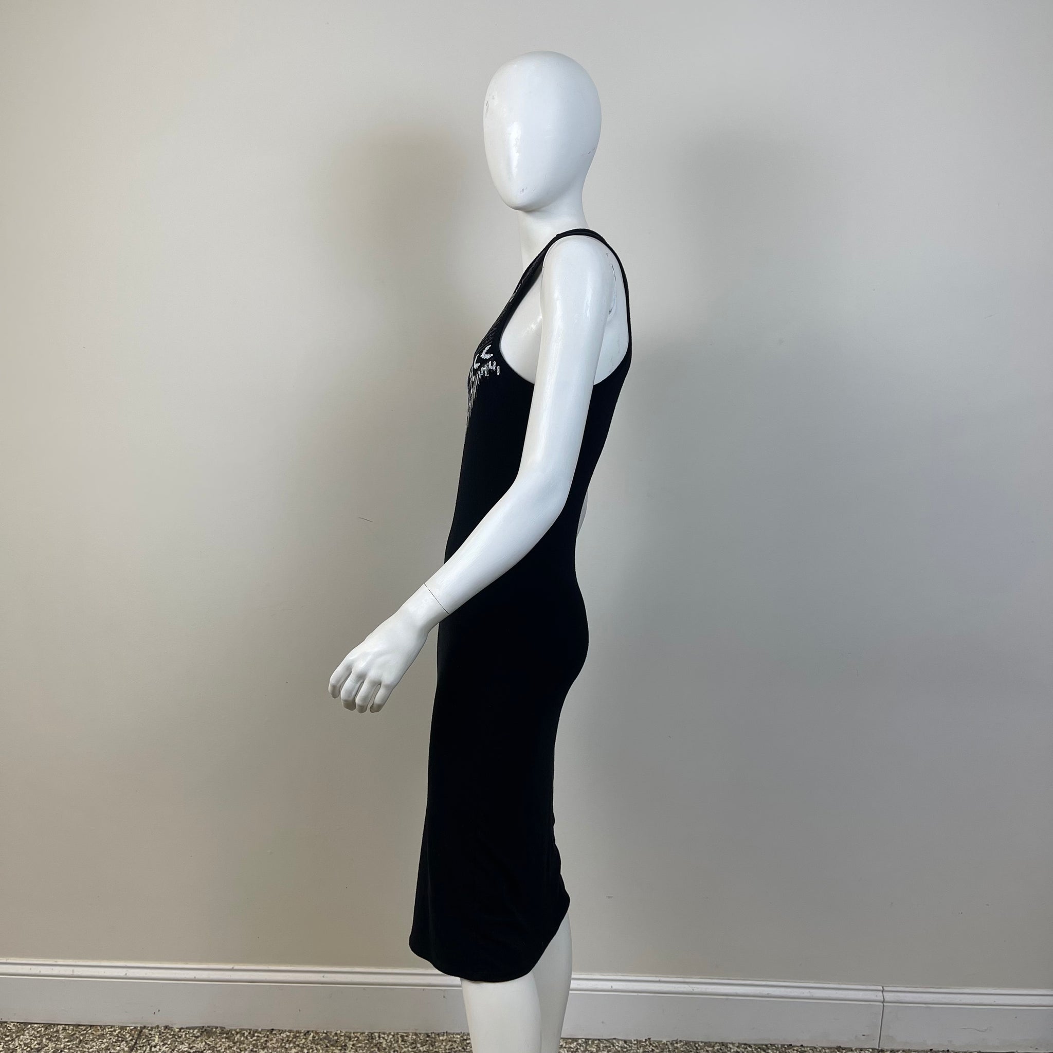 Express Women’s Dress