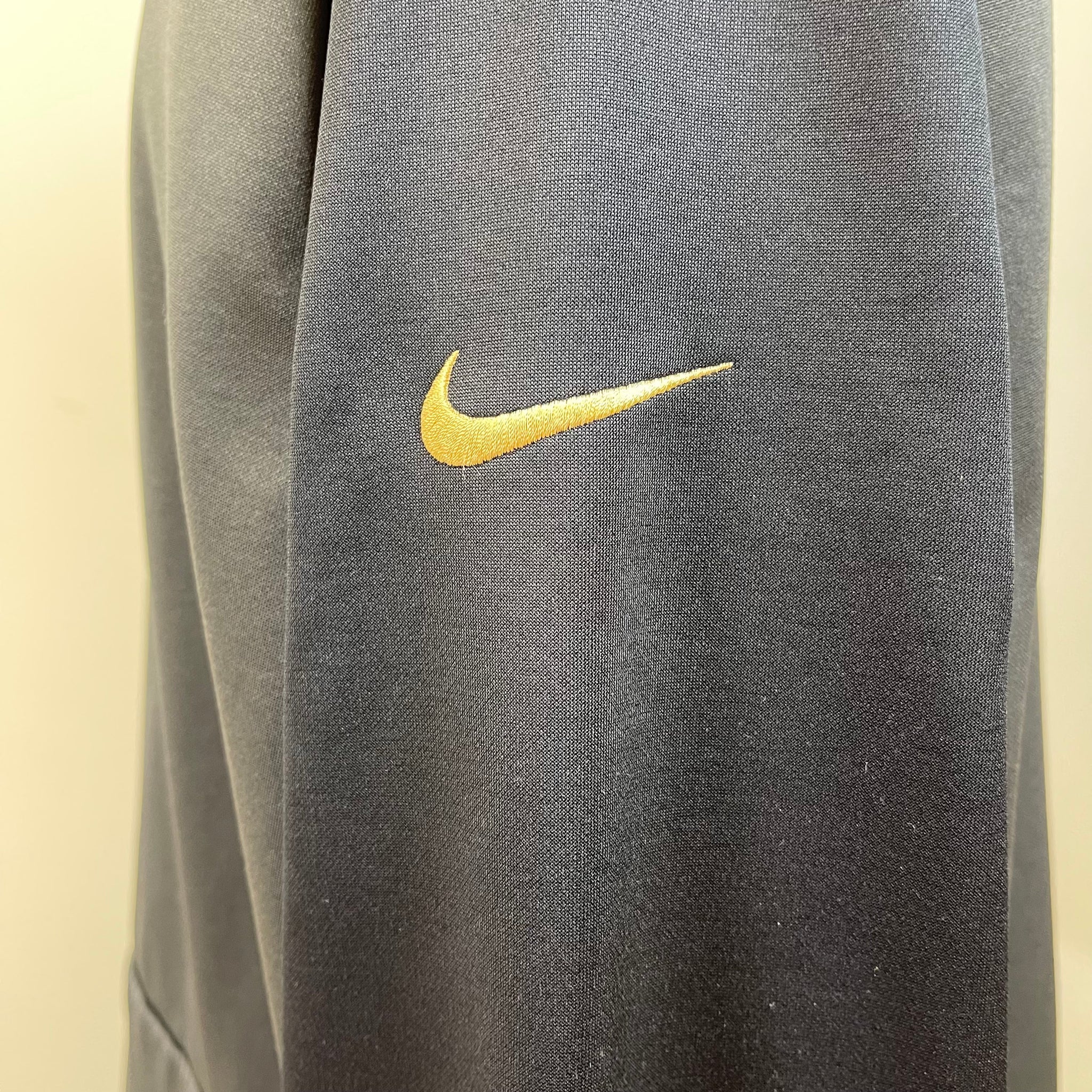 Nike Therma Fit Carolina Panthers Hoodie