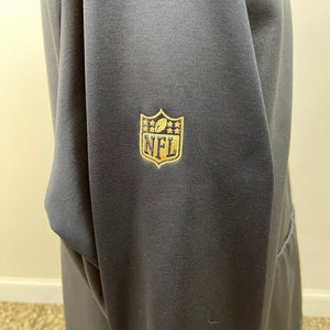 Nike Therma Fit Carolina Panthers Hoodie