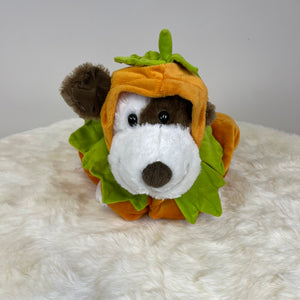 Dog Halloween Costume-Pumpkin