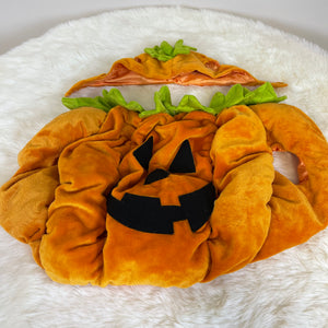 Dog Halloween Costume-Pumpkin