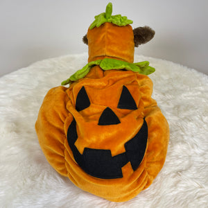 Dog Halloween Costume-Pumpkin