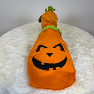 Dog Halloween Costume- Jack O Latern