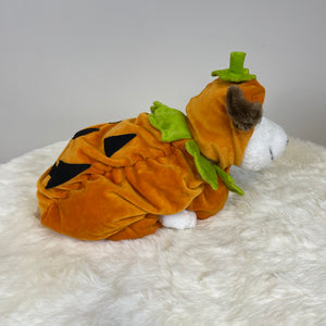 Dog Halloween Costume-Pumpkin