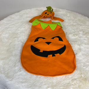 Dog Halloween Costume- Jack O Latern